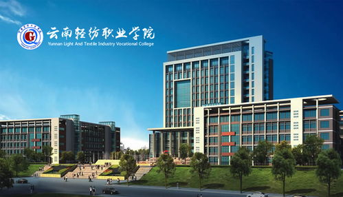 昆明奧遠(yuǎn)科技 一站式數(shù)字化解決方案，賦能企業(yè)網(wǎng)絡(luò)建設(shè)與新媒體運(yùn)營